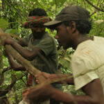 Mankadia-in-Jungle