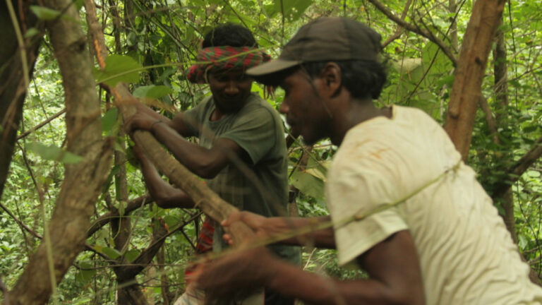 यूएन की रिपोर्ट: जंगलों पर आदिवासियों के अधिकार मानने से जंगल और आदिवासी दोनों को होगा फ़ायदा