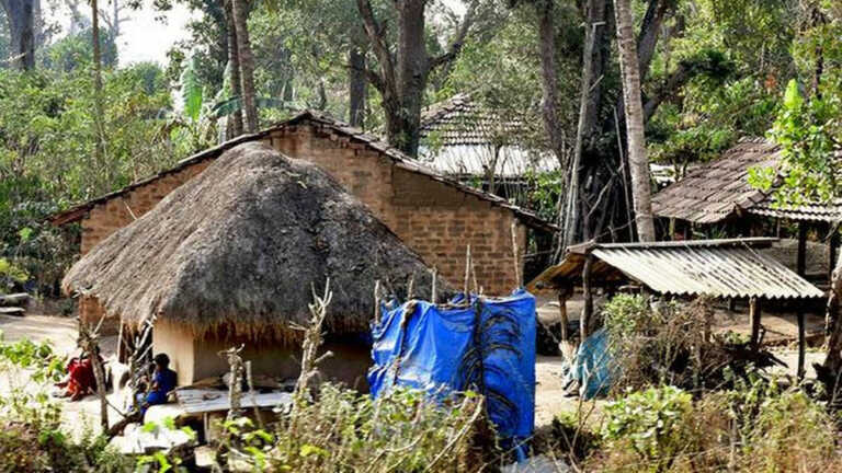 केरल की 240 आदिवासी बस्तियों पर टूटा कोविड-19 का क़हर