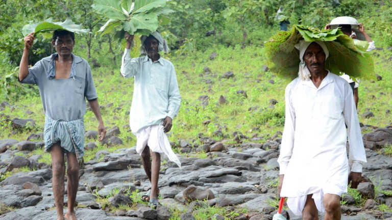तेलंगाना: आदिवासियों के हक़ के लिए पोडू भूमि का हो सर्वेक्षण, ग़ैर-आदिवासियों को किया जाए बाहर
