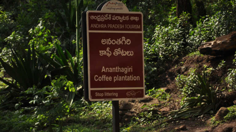 अरकू कॉफ़ी उगाने वाले आदिवासी किसानों पर मुसीबत, मनरेगा के तहत अब नहीं बढ़ेगा वेतन