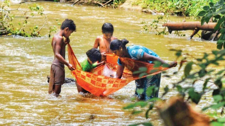 केरल: वायनाड के आदिवासियों में हाई टेस्ट पॉज़िटिव रेट, लेकिन डेथ रेट ज़ीरो