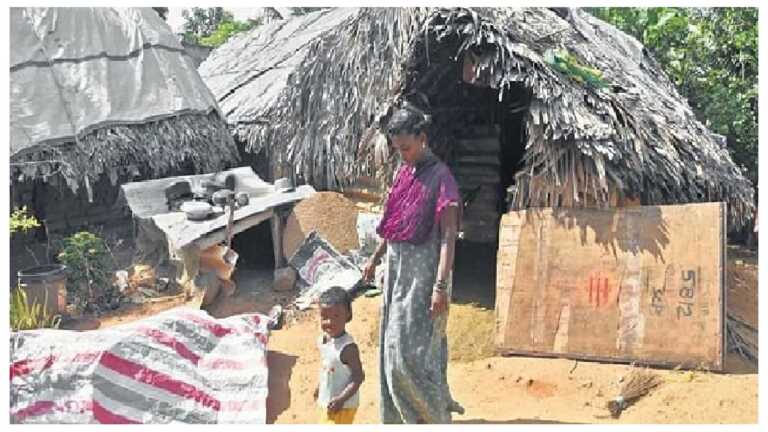 तमिलनाडु: मनरेगा को शुरु हुए 15 साल हो गए, लेकिन इस आदिवासी बस्ती में अभी तक नहीं पहुंचा लाभ