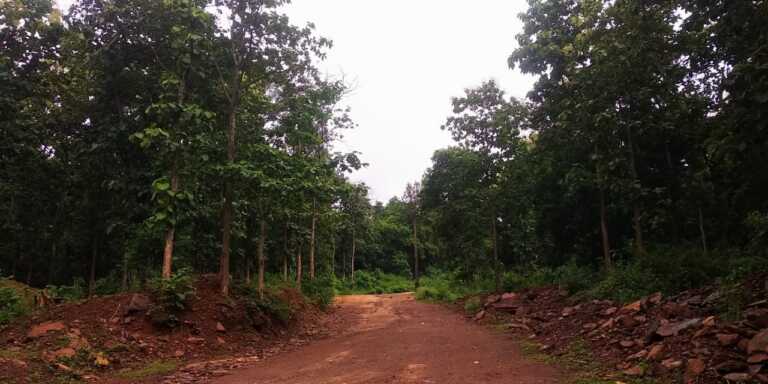 नई आपत्तियों के बाद वन संरक्षण अधिनियम के बदलाव में देरी