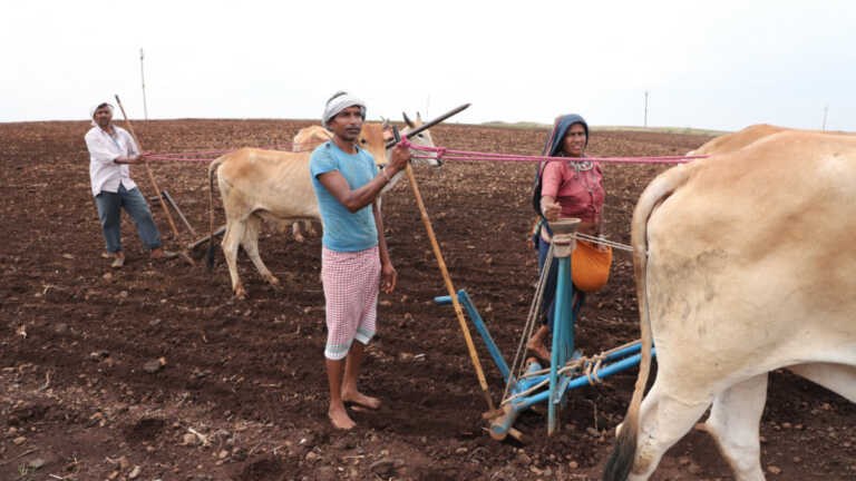 कर्नाटक के आदिवासी किसानों ने अपनाई नई तकनीक, कर रहे हैं स्मार्ट खेती