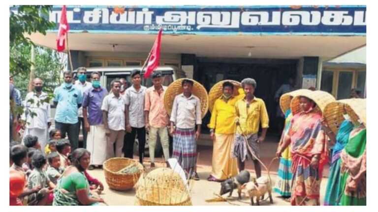 तमिलनाडु: पहचान साबित करने के लिए सूअर और टोकरियां लेकर प्रदर्शन करने को मजबूर मलईकुरवर आदिवासी