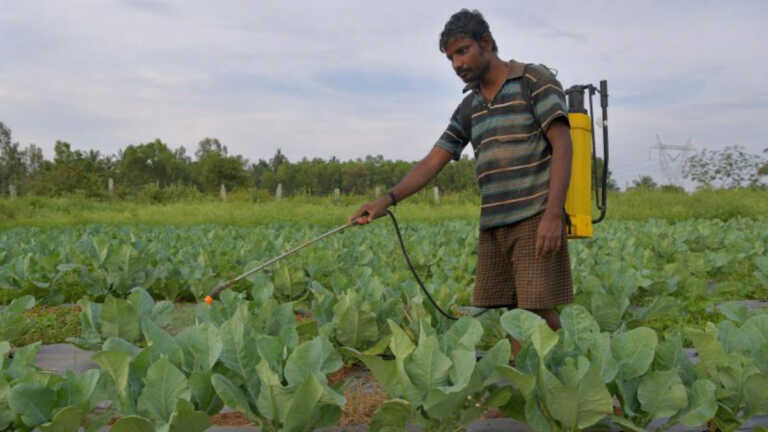 तेलंगाना में आदिवासी किसानों पर भारी पड़ रहे फर्जी जैव-कीटनाशक