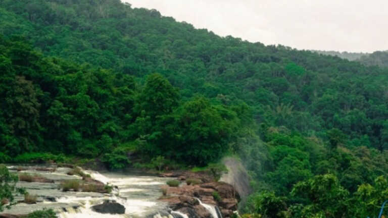 आदिवासियों की केरल में बड़ी जीत, सरकार ने रद्द की अदिरपल्ली जलविद्युत परियोजना
