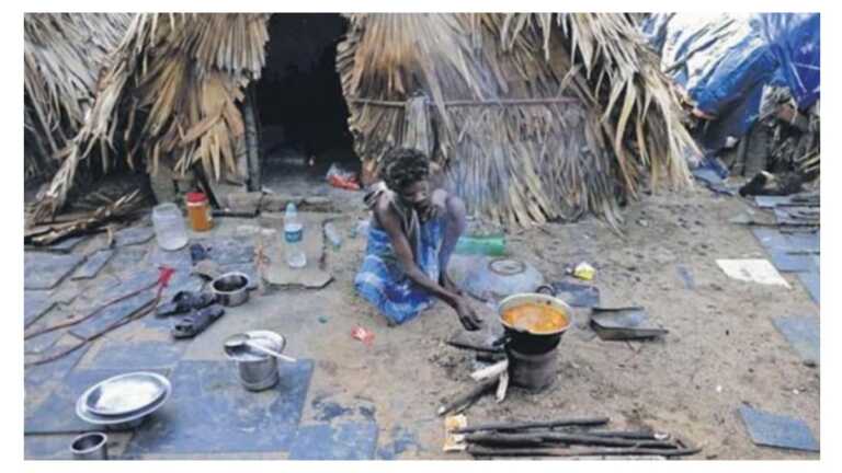 बुनियादी सुविधाओं के बिना, सड़क के किनारे आप कितने साल जी सकते हैं? यह इरुला आदिवासी तो 30 साल से जी रहे हैं