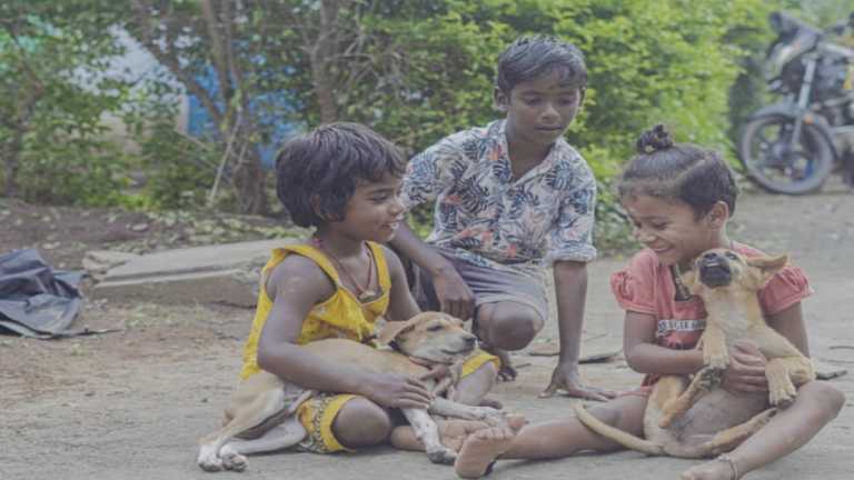 न बिजली है, न मोबाइल नेटवर्क, आदिवासी छात्र पढ़ाई न छोड़े तो क्या करे
