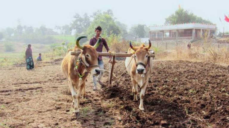 गुजरात: आदिवासी किसानों को रियायती दर पर मिलेंगे बीज और खाद
