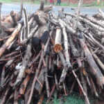 FIREWOOD
