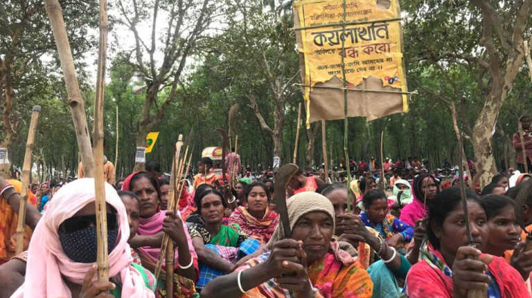 छत्तीसगढ़ और ओडिशा के हज़ारो पेड़ नष्ट, देखने वाला कोई नहीं
