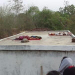 3 TRIBALS KILLED IN MP