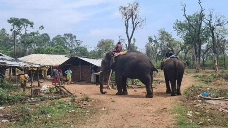 हाथी की सवारी लेकिन पानी को तरसता कर्नाटक का कुरूंबा आदिवासी