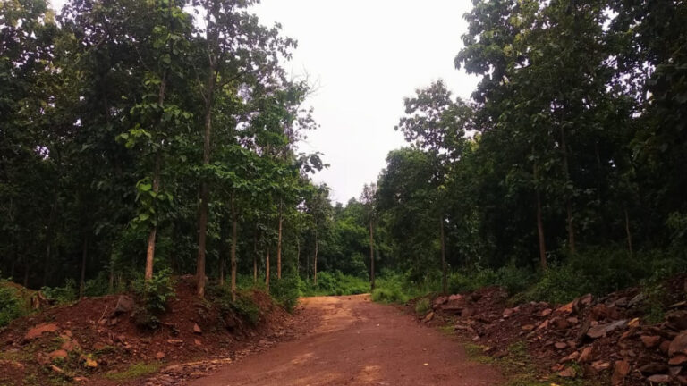 कर्नाटक में 83 प्रतिशत वन अधिकार के दावे खारिज, आदिवासियों में नाराजगी