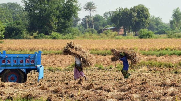 गुजरात में किसान ने 14 आदिवासियों को बनाया बंधक, 2 महीने से कैद में है मजदूर