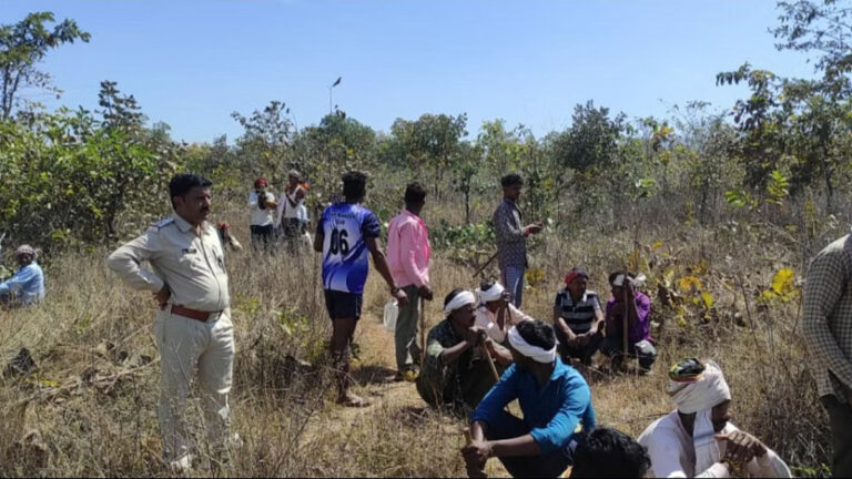 <strong>मध्य प्रदेश: क्यों सिवनी मालवा में सैकड़ों आदिवासियों ने बड़ी संख्या में काटे पेड़ </strong>