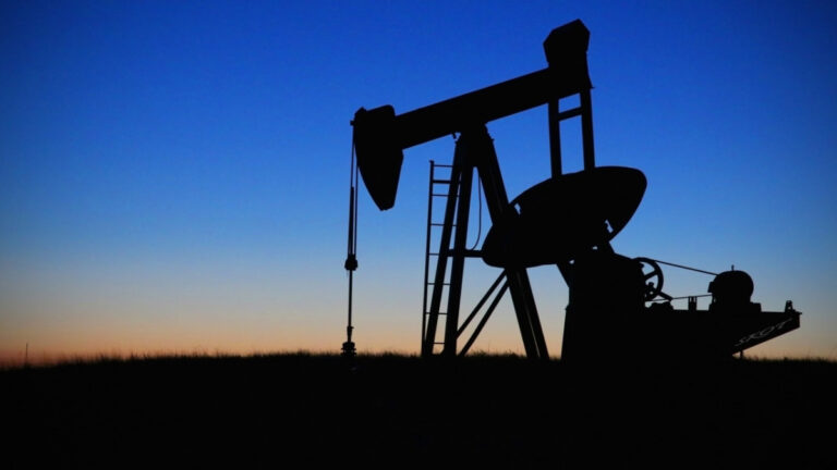 नागालैंड ट्राइब्स काउंसिल ने तेल की खोज की शर्तें रखी हैं