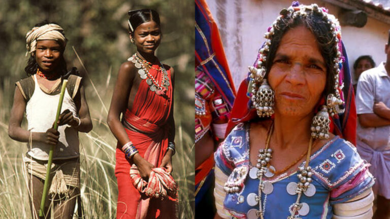 तेलंगाना विधानसभा चुनाव: बीजेपी आदिवासी समुदायों के मतभेदों का फ़ायदा उठाना चाहती है