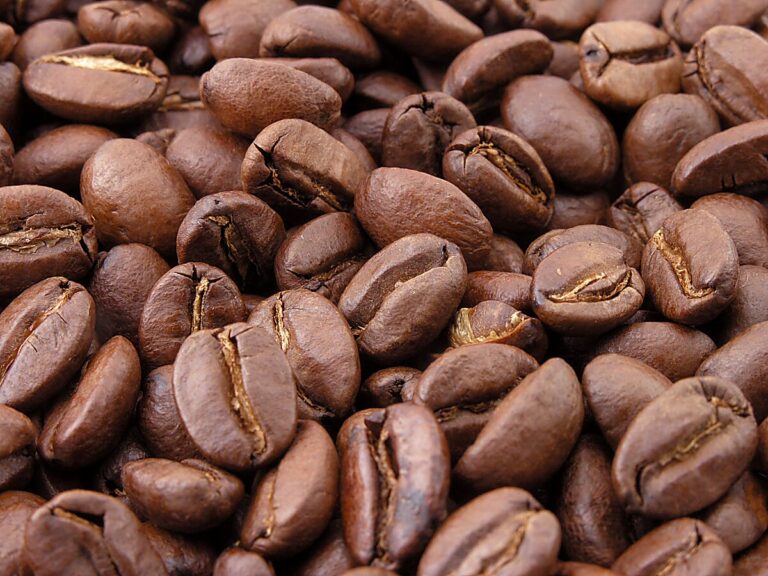 आंध्र प्रदेश के आदिवासी किसानों की कॉफी को मिली अतंराष्ट्रीय पहचान