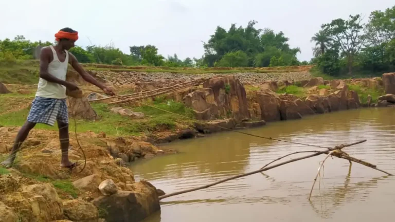 ओडिशा राज्य में पर्यावास अधिकार प्राप्त करने वाली पहली जनजाति बनी पौडी भुइयां