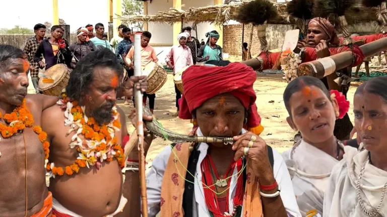 बस्तर का आदिवासी मेला: मावली नारायणपुर का 800 साल पुराना देव मेला है