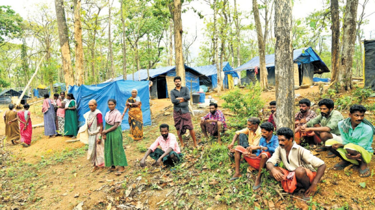 केरल: बढ़ते वन्यजीव संघर्ष के बीच विस्थापित आदिवासी परिवार भूमि आवंटन का कर रहे हैं इंतजार