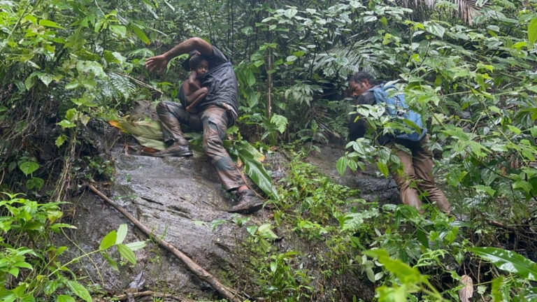 वायनाड लैंडस्लाइड: जान जोखिम में डालकर वन अधिकारियों ने 4 आदिवासी बच्चों को दी जिंदगी