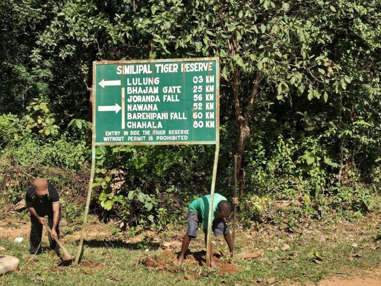 मुंडा जनजाति की आस्था बनाम बाघ संरक्षण
