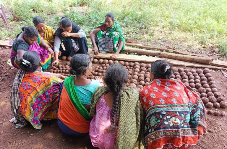आदिवासी महिलाओं ने उठाया जंगलों को पुनर्जीवित करने का बीड़ा