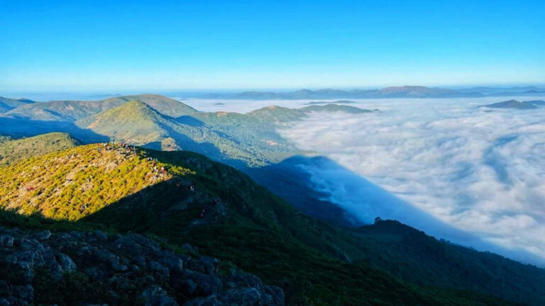 वनजांगी पहाड़ियों पर आदिवासियों और वन विभाग के बीच तनातनी जारी