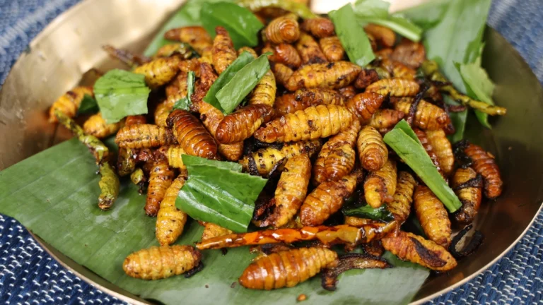 कीड़े भी भोजन हैं: बोडोलैंड में कई तरह के कीड़े खाए जाते हैं