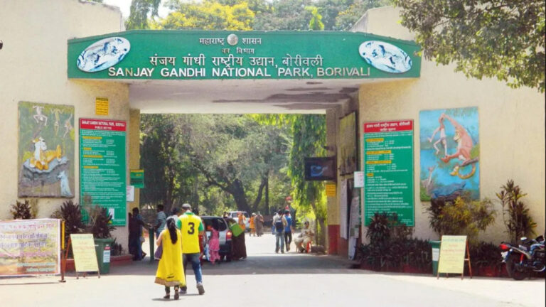 संजय गांधी नेशनल पार्क में तोड़फोड़ का आदिवासी क्यों कर रहे हैं विरोध?